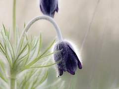 돌이킬 수 없는 일