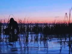 그녀의 꿈속으로/7화