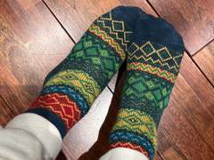 📞 다니엘 포닝 개인 채팅 사진