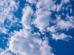 [앙헬히요] 내 거친 생각과 불안한 눈빛과 그걸 지켜보는 너, 창공의 에델 브라우