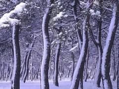 메밀전병 좋아하시오? 소인도이네만!