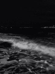 낭만을 삼킨 바다