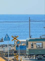 우리를 찾았던 그날은 여름