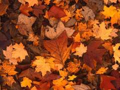 [희재] All Too Well