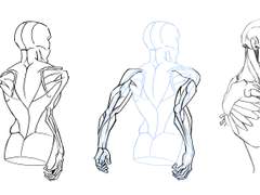 2023년 2월 18일 (토) <해부학>