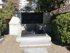 도쿄 여행 사진