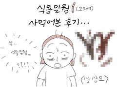 식용 밀웜(고소애) 사먹어본 후기..