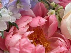 다복팔당多福八堂