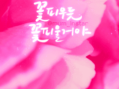 마음충전 배경화면_꽃