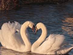 우리가 만들어갈 그 봄을 난 기다리고 있어.