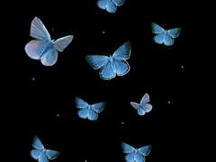 케이유메) 진심