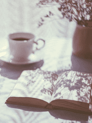 저그인 이모저모