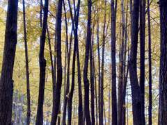 공부가 잘 되는 이유, 잘 되지 않는 이유