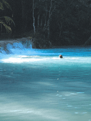 나를 데리고 살기