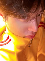 Q. 고양이가 말도하나요?