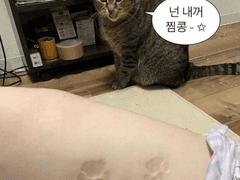 피크타임 1화 찍먹