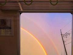 [렌탄]일상의 틈