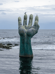 포항항ꉂꉂ(ᵔᗜᵔ*)