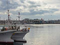 포항항ꉂꉂ(ᵔᗜᵔ*) (1)