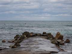 포항항ꉂꉂ(ᵔᗜᵔ*) (3)