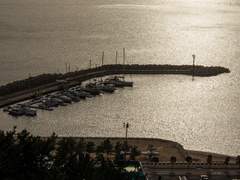 포항항ꉂꉂ(ᵔᗜᵔ*) (6)