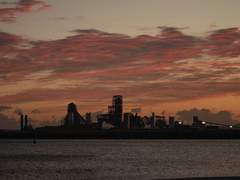 포항항ꉂꉂ(ᵔᗜᵔ*) (9)