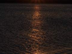 포항항ꉂꉂ(ᵔᗜᵔ*) (11)