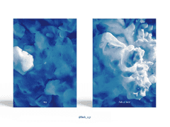 Sold out. Fake of Snow