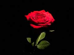 특별함이라는 것은