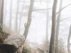 길 잃은 것의 기도