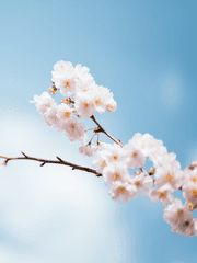 사랑은 거들 뿐