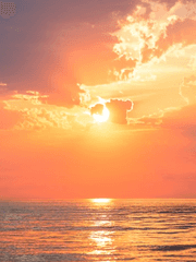 바래진 먼지를 털어 펼쳐보는 우리들의 마지막 졸업앨범