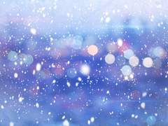 [순종적인 유산/재호리우] 해괴駭怪