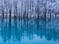 [ Belita Whitney(벨리타 위트니) / 16세 / Xx ]