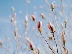 [BL] 영험한 밤의 몸종 (15) : 이 어리석은