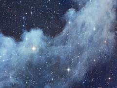 [변서황] 백일몽