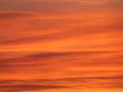 [BL] 영험한 밤의 몸종 (11) : 어여쁘다