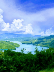 골든카무이 드림