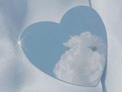 동거 드림 주사위