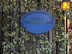 집사 카페 스왈로우테일 후기