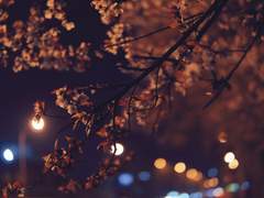 [호열백호] 좋은 날