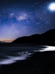 [원피스] 달과 나비