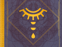 Lightfall CE - 엘시