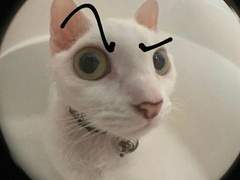 살인..으로부터