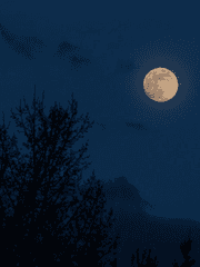 사랑하는 사람 (단편)