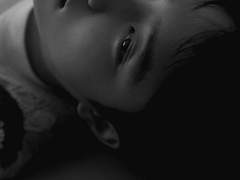 I’m Gonna Love You