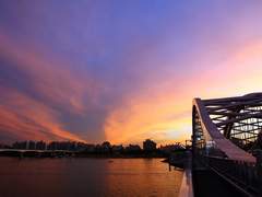 나의 핑크, 하늘, 그리고 보라.