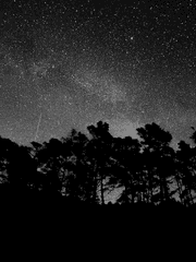 레볼루션 하트 단편