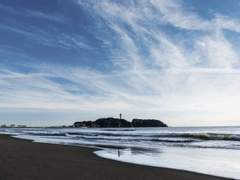 양호열은 바다를 ____.