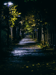 새벽이 좋아, 한낮이 좋아